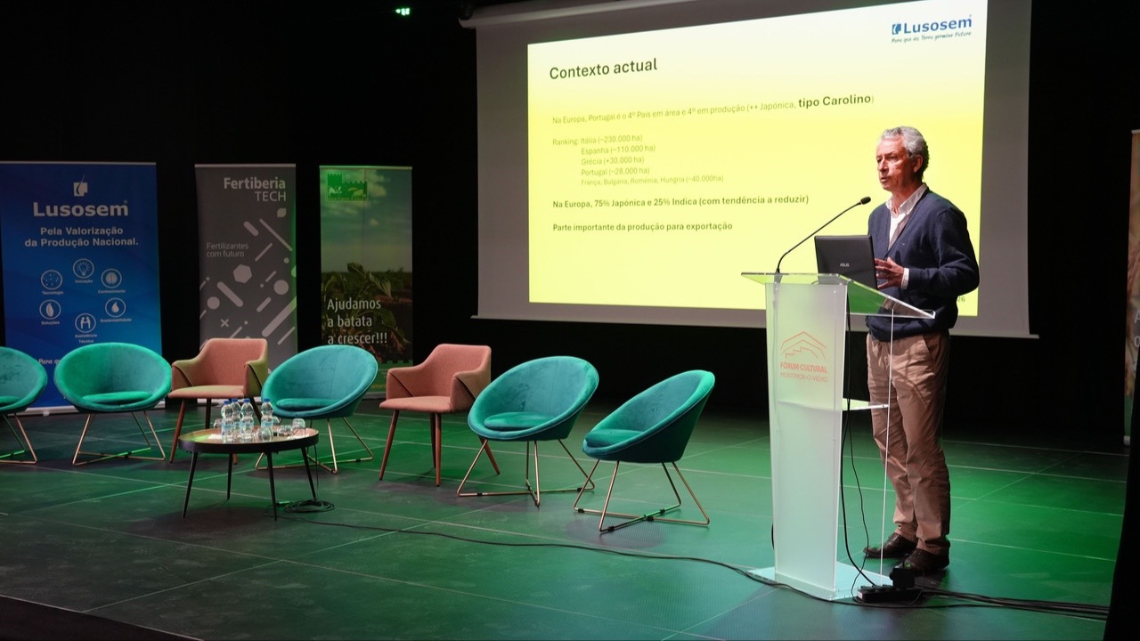 Agricultura no Baixo Mondego